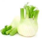 Fennel Fruit Extract