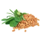 Fenugreek Seed Extract (25% Saponins)